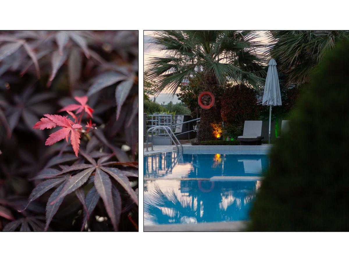 Anthodi Hotel 스타브로스 외부 사진